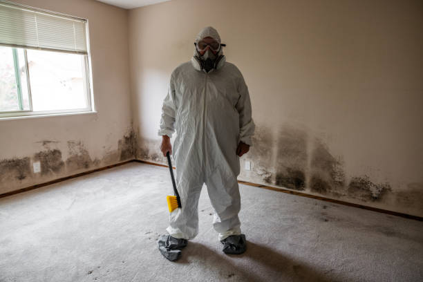 Best Local Mold Removal Service  in Brookdale, NJ
